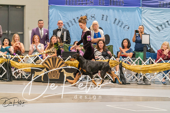 20260928-DSC06069