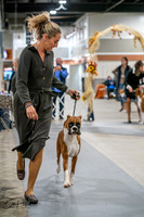 20261022-DSC02739