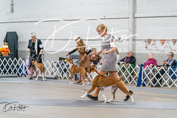 20261022-DSC00182