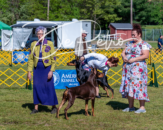 20230514-DSC03163