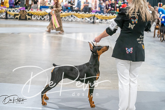 20260926-DSC03959