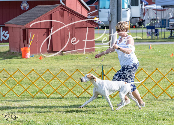 20230513-DSC02155