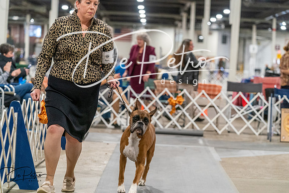 20261023-DSC05372