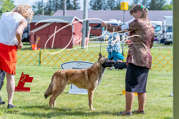 20230512-DSC05564
