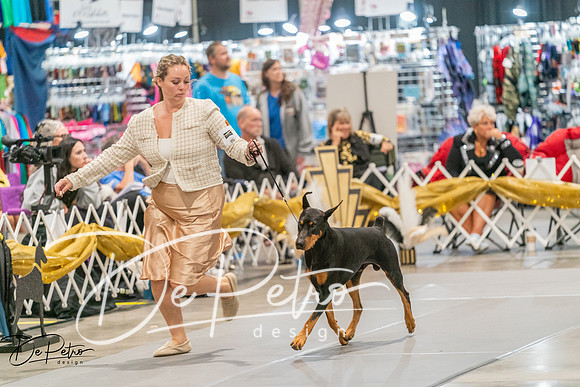 20260927-DSC05371