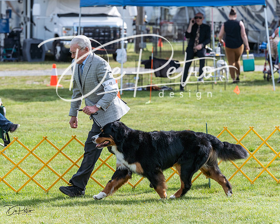 20230513-DSC00932