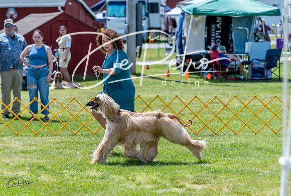 20230513-DSC09147