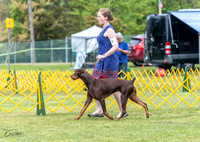 20230513-DSC08106