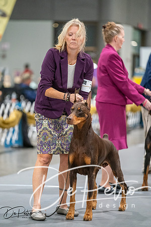 20260926-DSC04499