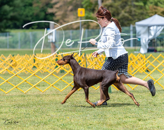 20230513-DSC08564