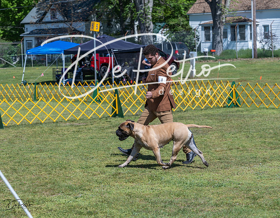 20230514-DSC03719