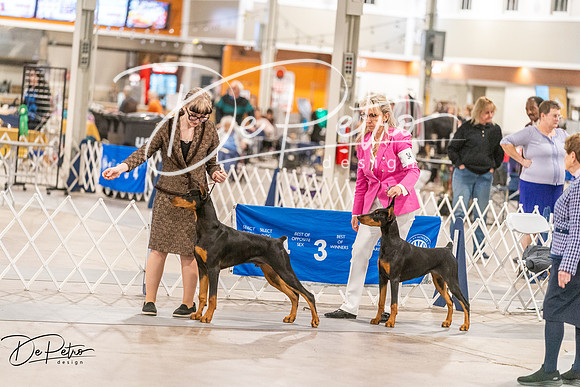 20261024-DSC00965