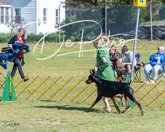 20230514-DSC03297