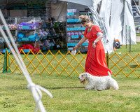 20230513-DSC00051