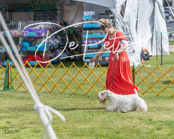 20230513-DSC00051