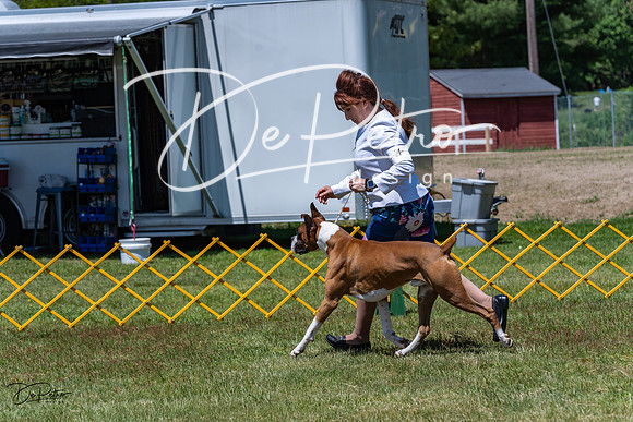 20230514-DSC04429