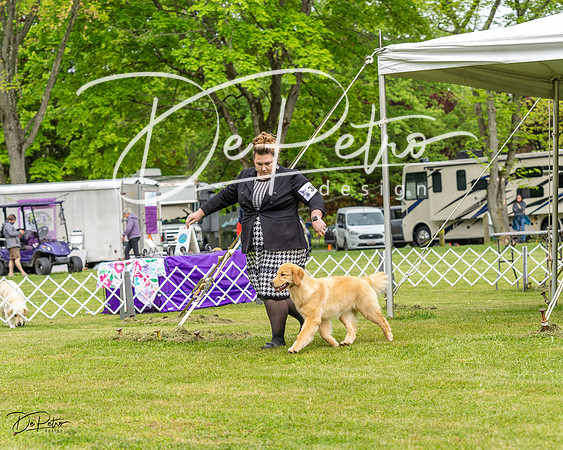 20230427-DSC03569