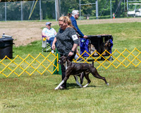 20230514-DSC03934