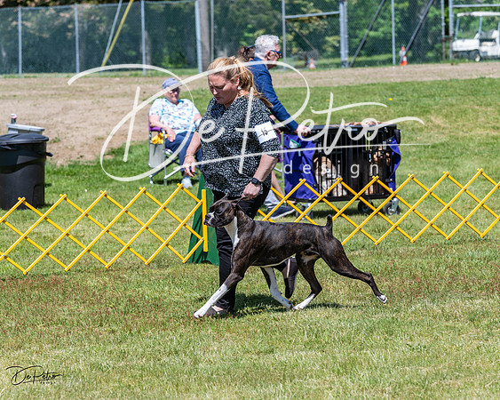 20230514-DSC03934