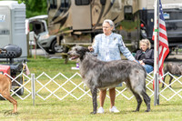 20230427-DSC06477