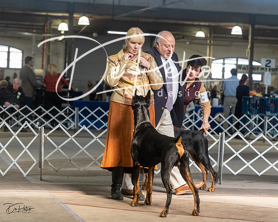 20230402-DSC08998