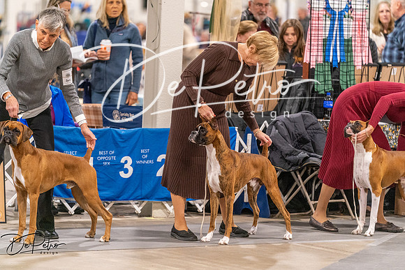 20261024-DSC08409