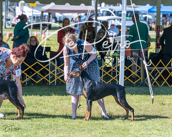 20230514-DSC02742