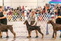 20261024-DSC00588
