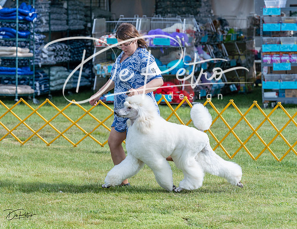 20230513-DSC00321