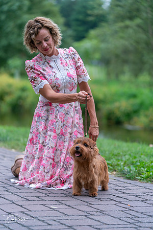 20260912-DSC03335