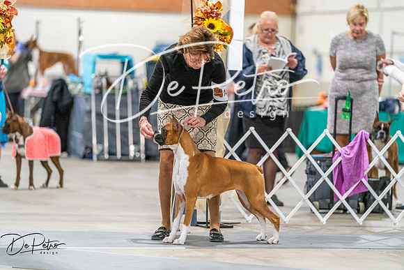 20261022-DSC00338