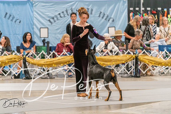 20260928-DSC06225