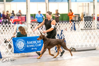 20261024-DSC00534