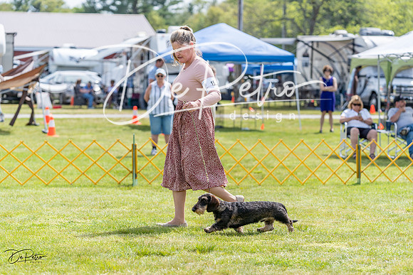 20230513-DSC09733