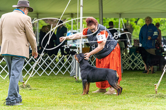 20230427-DSC02367
