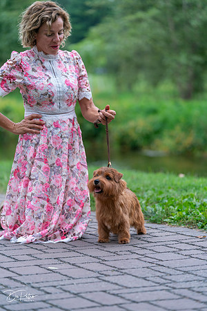 20260912-DSC03258