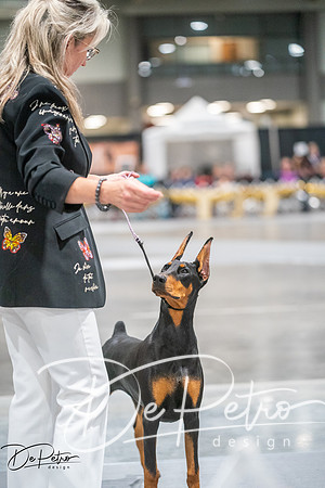 20260926-DSC04870