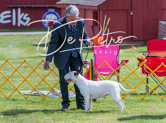 20230512-DSC04074