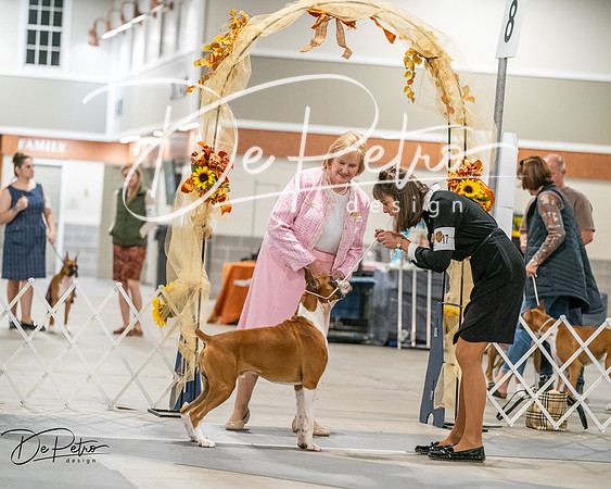 20261022-DSC02875