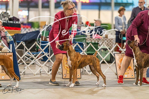 20261023-DSC05258