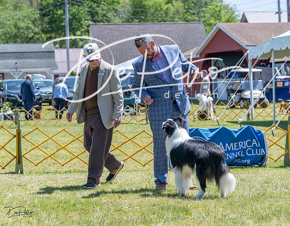 20230514-DSC05099