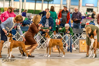 20261023-DSC04948