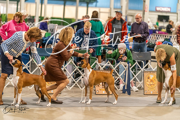 20261023-DSC04948