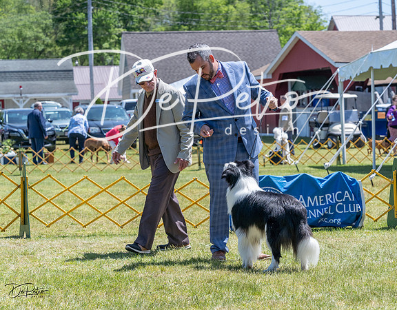 20230514-DSC05097