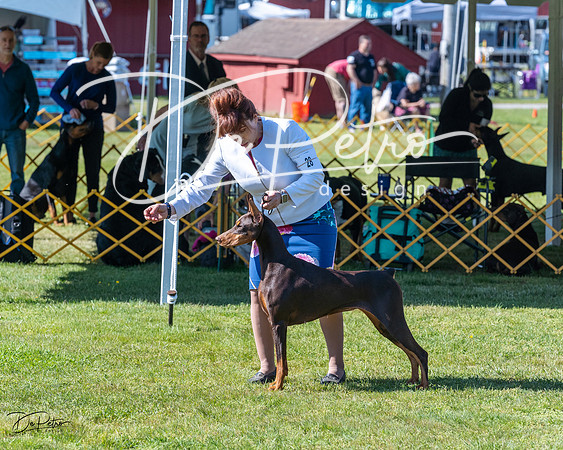 20230514-DSC02809