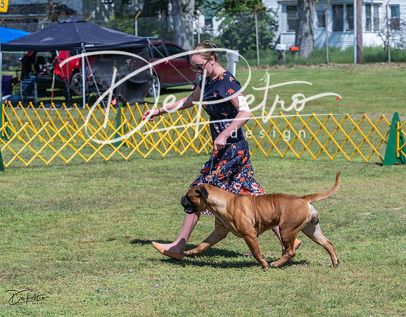 20230514-DSC03756