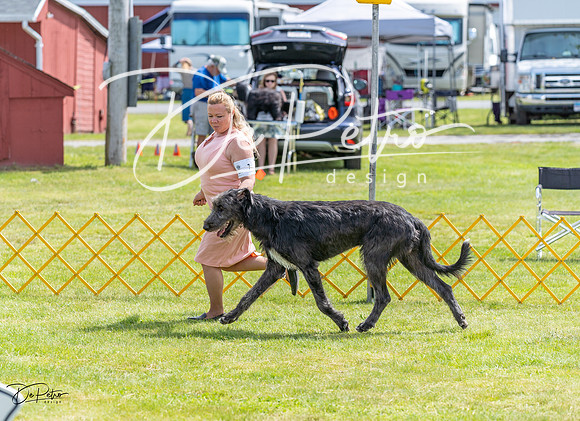 20230513-DSC09482