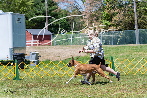 20230514-DSC04401