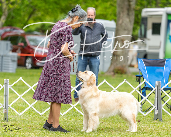 20230427-DSC03719