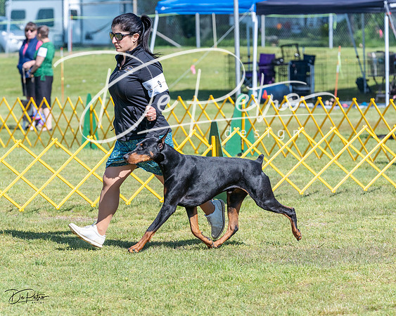20230514-DSC03142